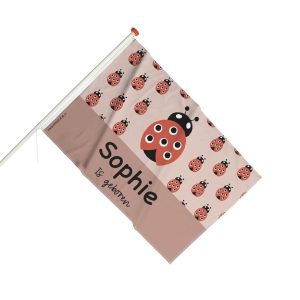 Geboortevlag met lieveheersbeestjes in roze